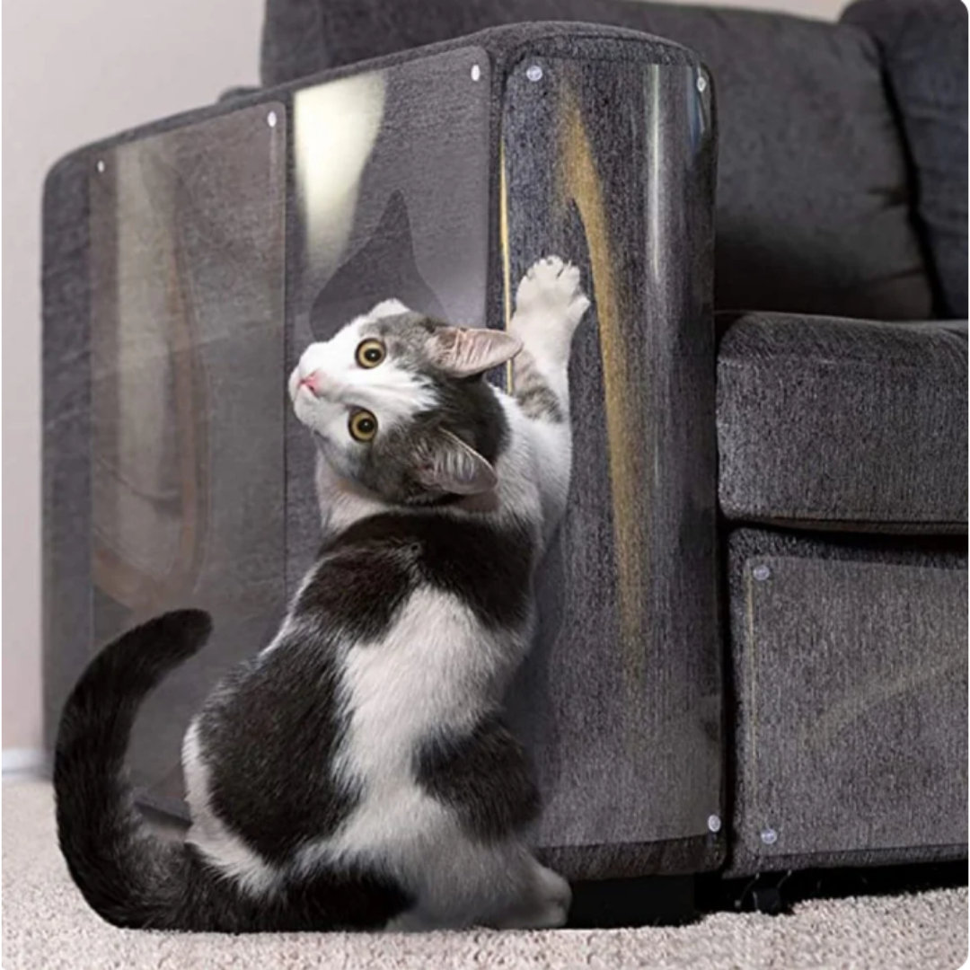 PetShield™ Invisible