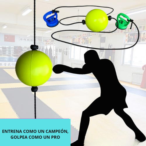 pelota para boxear